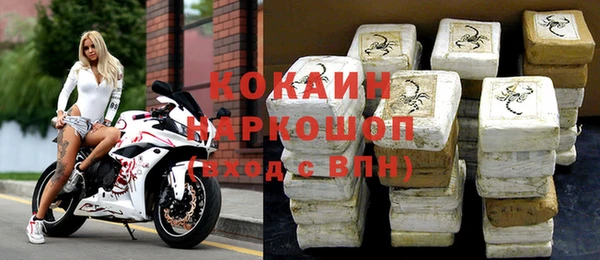 гидра Инсар